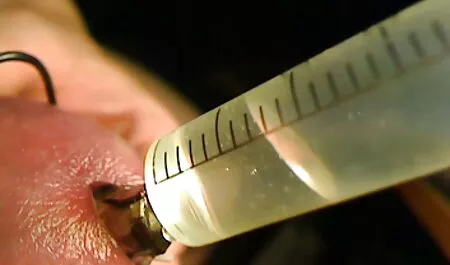Sex in car xhamster2